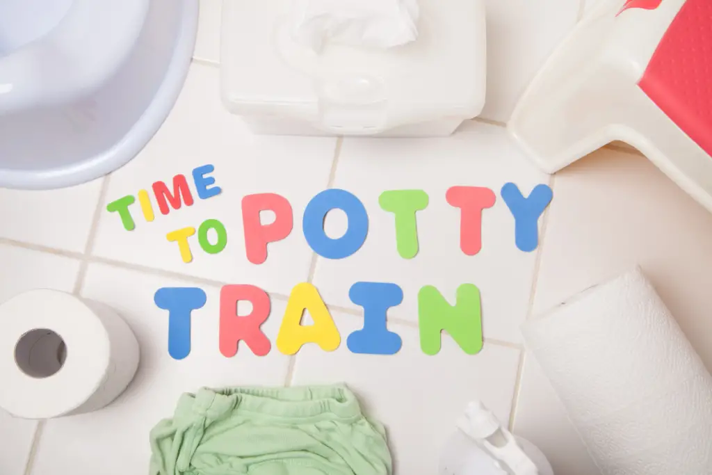 Best Potty Training Products