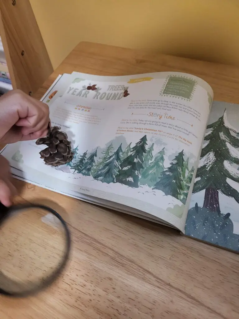 homeschool curriculum