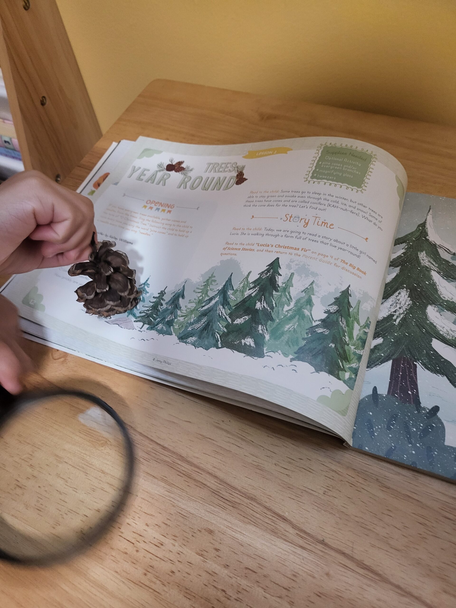 homeschool curriculum